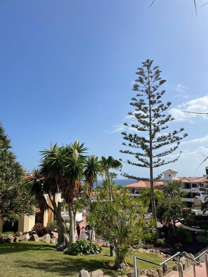 Paraiso Albatros, Beautiful Complex San Miguel de Abona Dış mekan fotoğraf