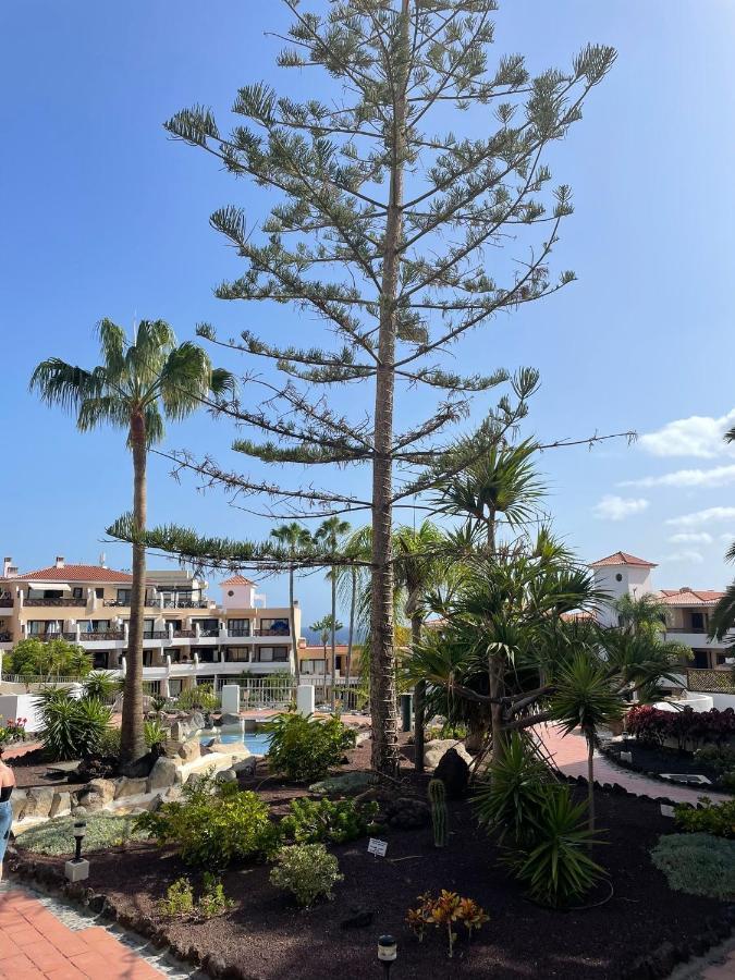 Paraiso Albatros, Beautiful Complex San Miguel de Abona Dış mekan fotoğraf